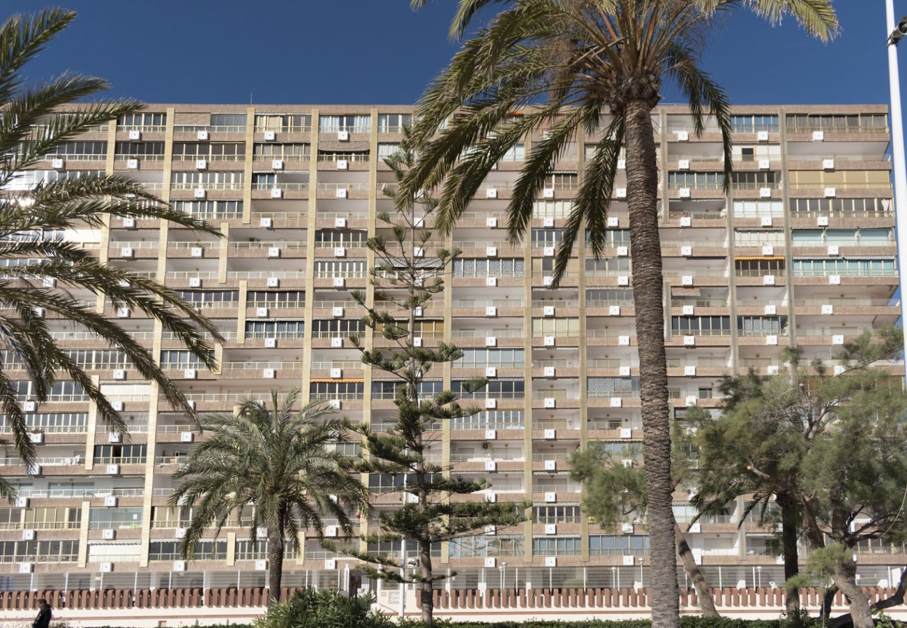 Apartamento en Cullera - ARENSOL ESC-A, 13º-51