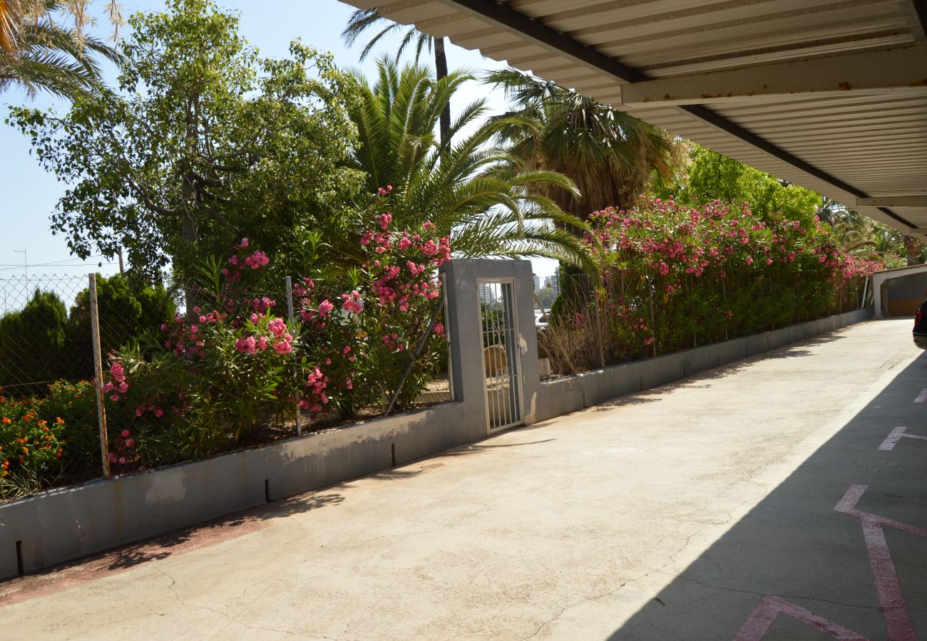 Apartamento en Calpe - Alq 156 Talima sea views