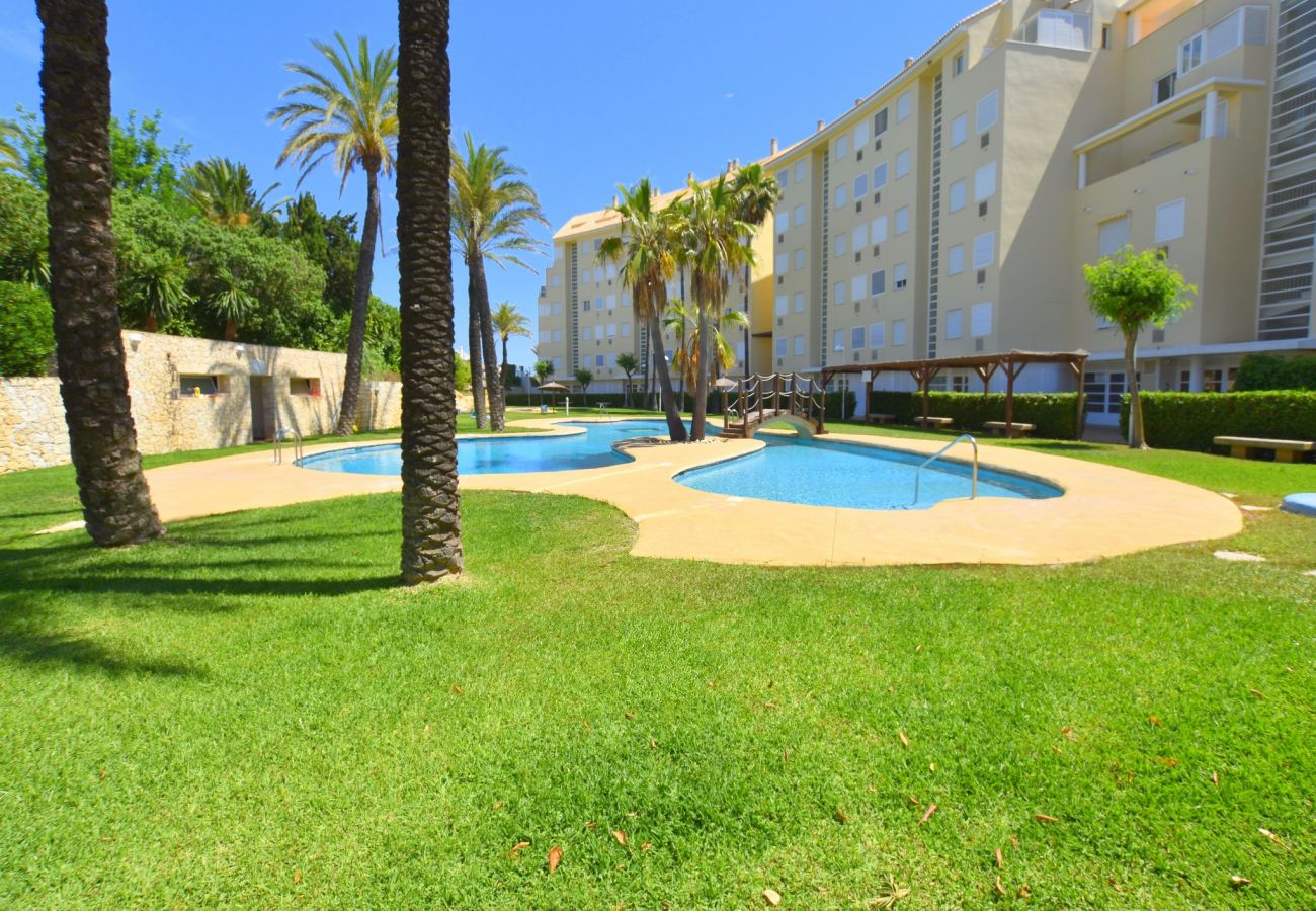 Apartamento en Javea / Xàbia - Apartamento Golden Gate Javea - 5005