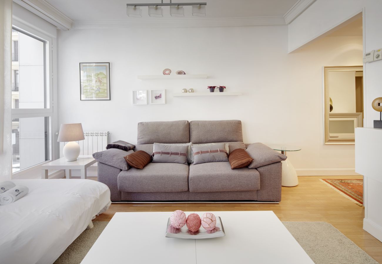 Apartamento en San Sebastián - HURBIL - Basque Stay