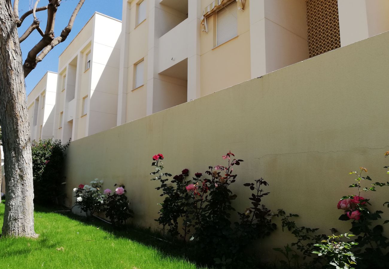 Apartamento en Xeraco Playa - Solmar II 12 - 2º (garaje 18)