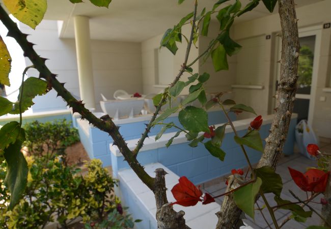 Isla - Apartamento