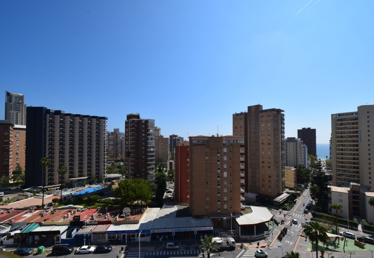 Apartamento en Benidorm - ADELFAS 10D