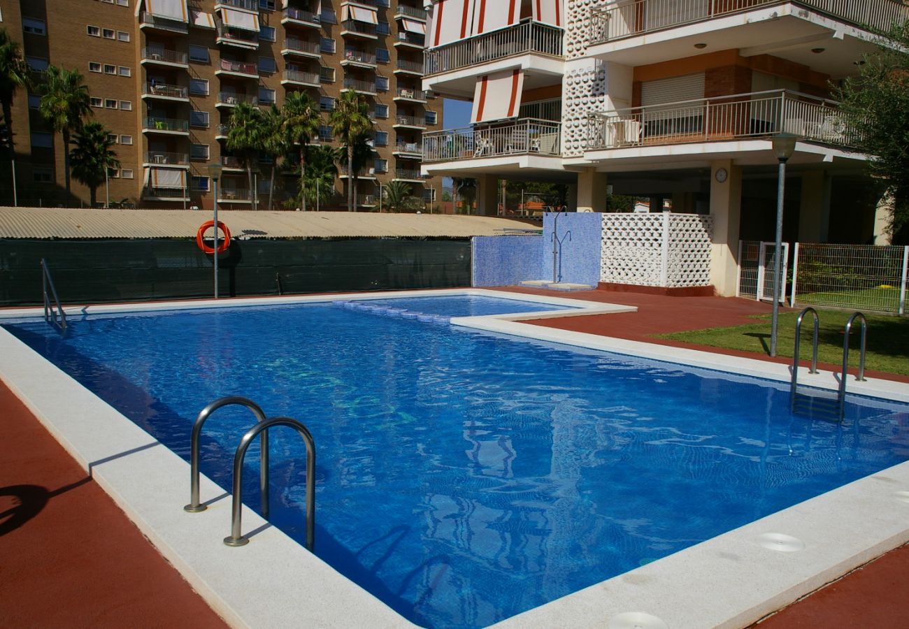 Apartamento en Benicàssim - LOS OLIVOS  3 11