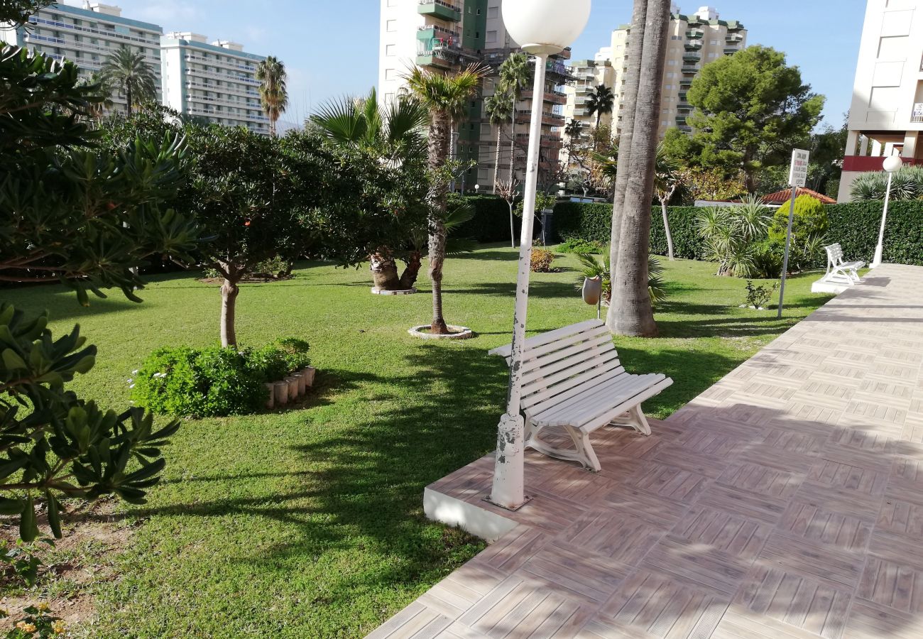 Apartamento en Playa de Gandía - 1.Don Ximo 1º pta 1 (garaje 61)