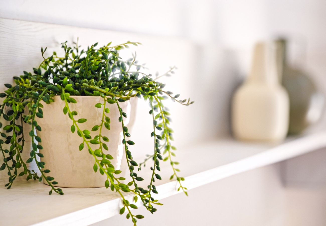 Apartamento en Cambrils - BLAU MAR CAYOCOCO