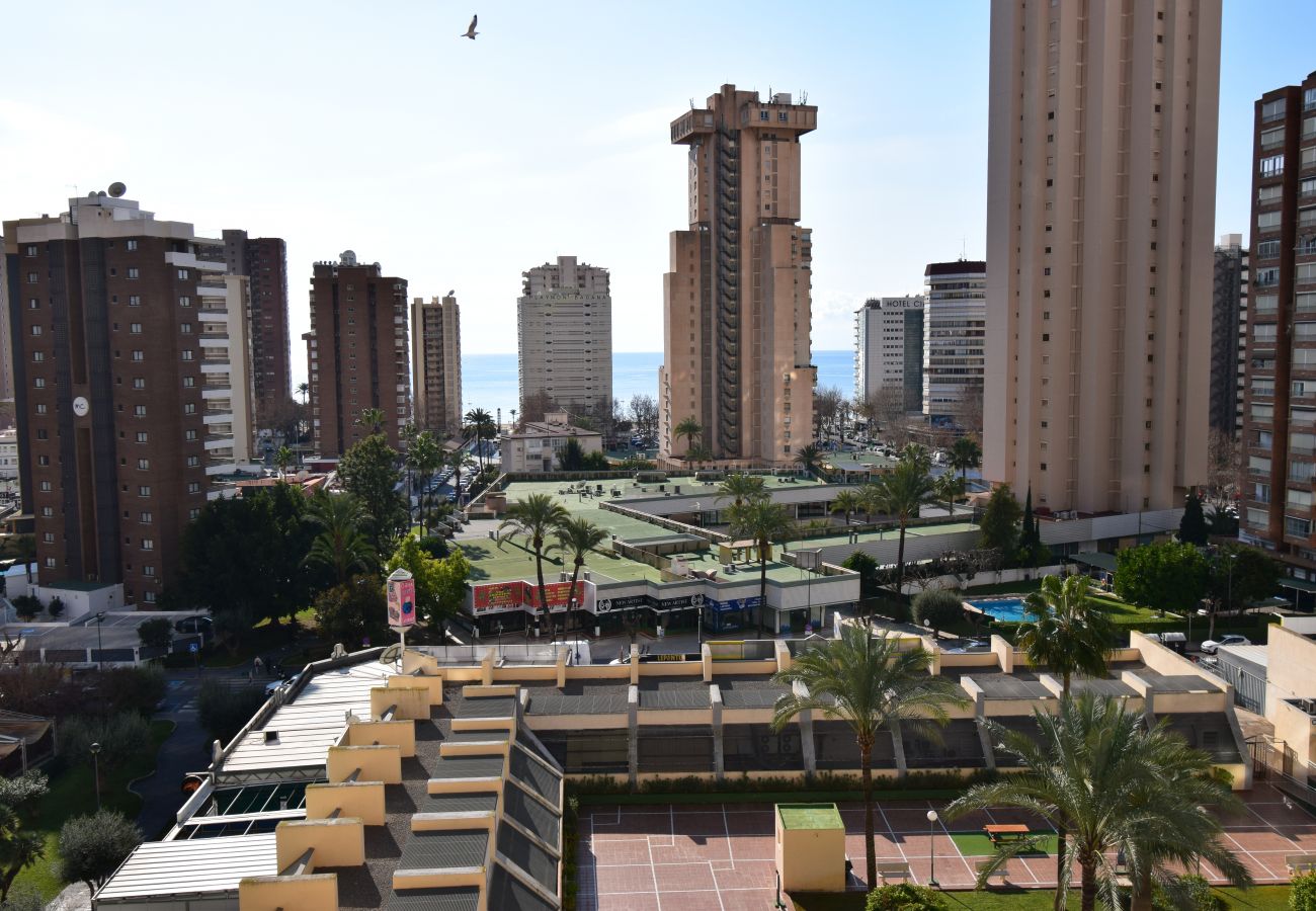 Apartamento en Benidorm - GEMELOS 20 12D