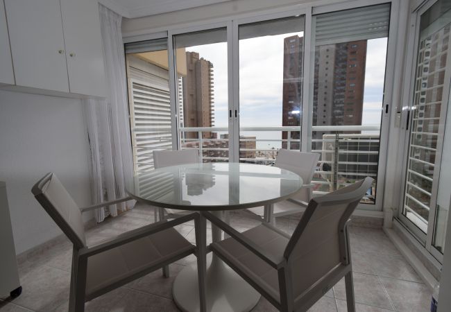 Estudio en Benidorm - CABALLOS 8E (ESTUDIO)