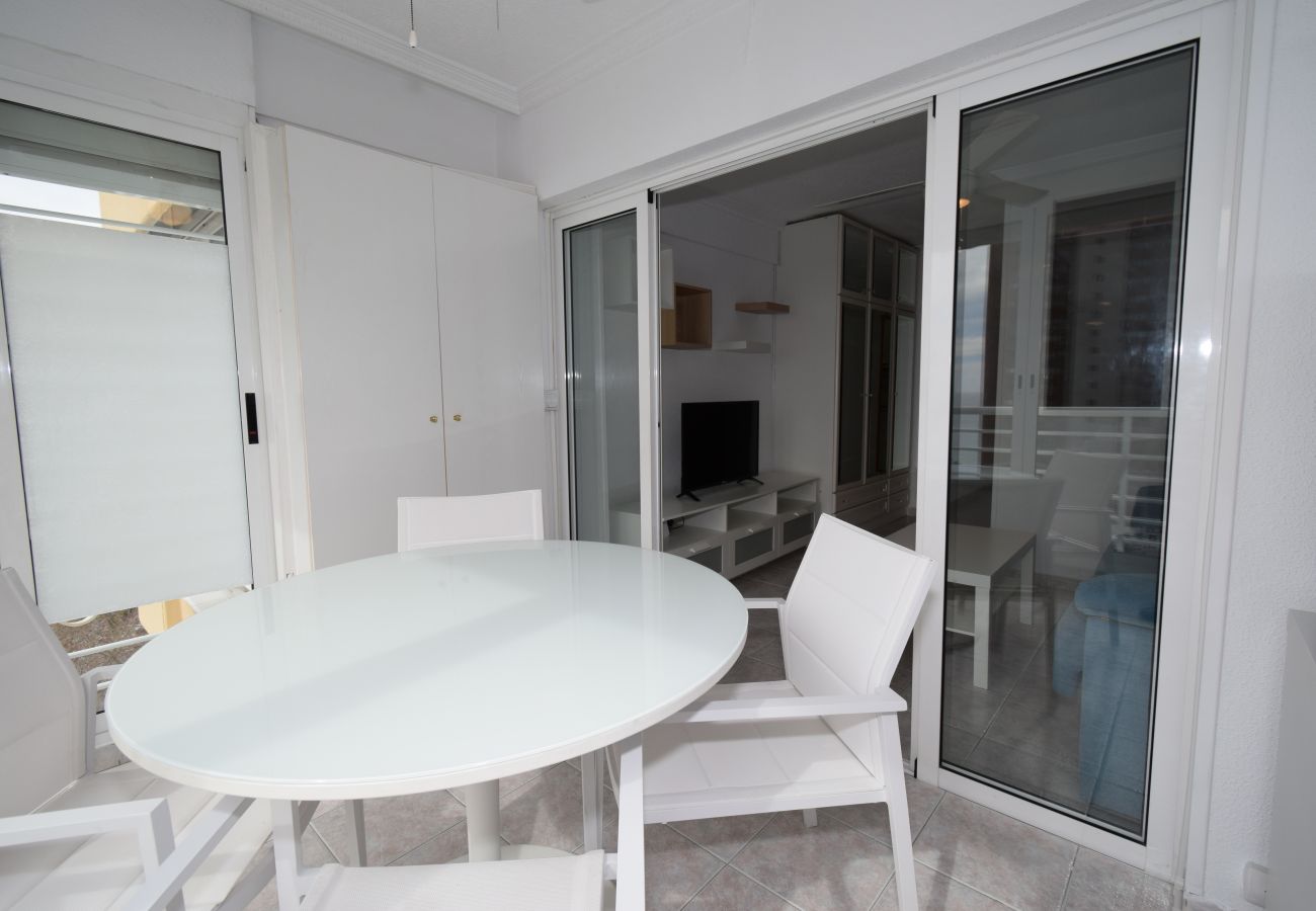 Estudio en Benidorm - CABALLOS 8E (ESTUDIO)