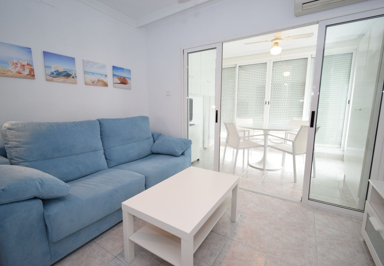 Estudio en Benidorm - CABALLOS 8E (ESTUDIO)