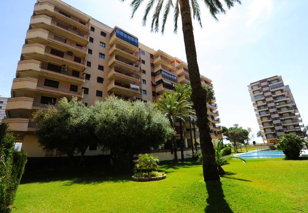 Apartamento en Benicàssim - CANARIAS B-3-H