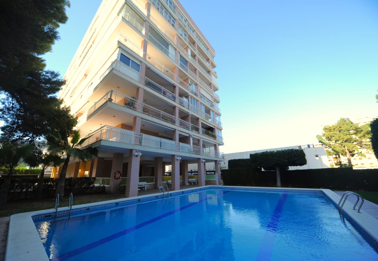 Apartamento en Benicàssim - LA PINADA 8-G