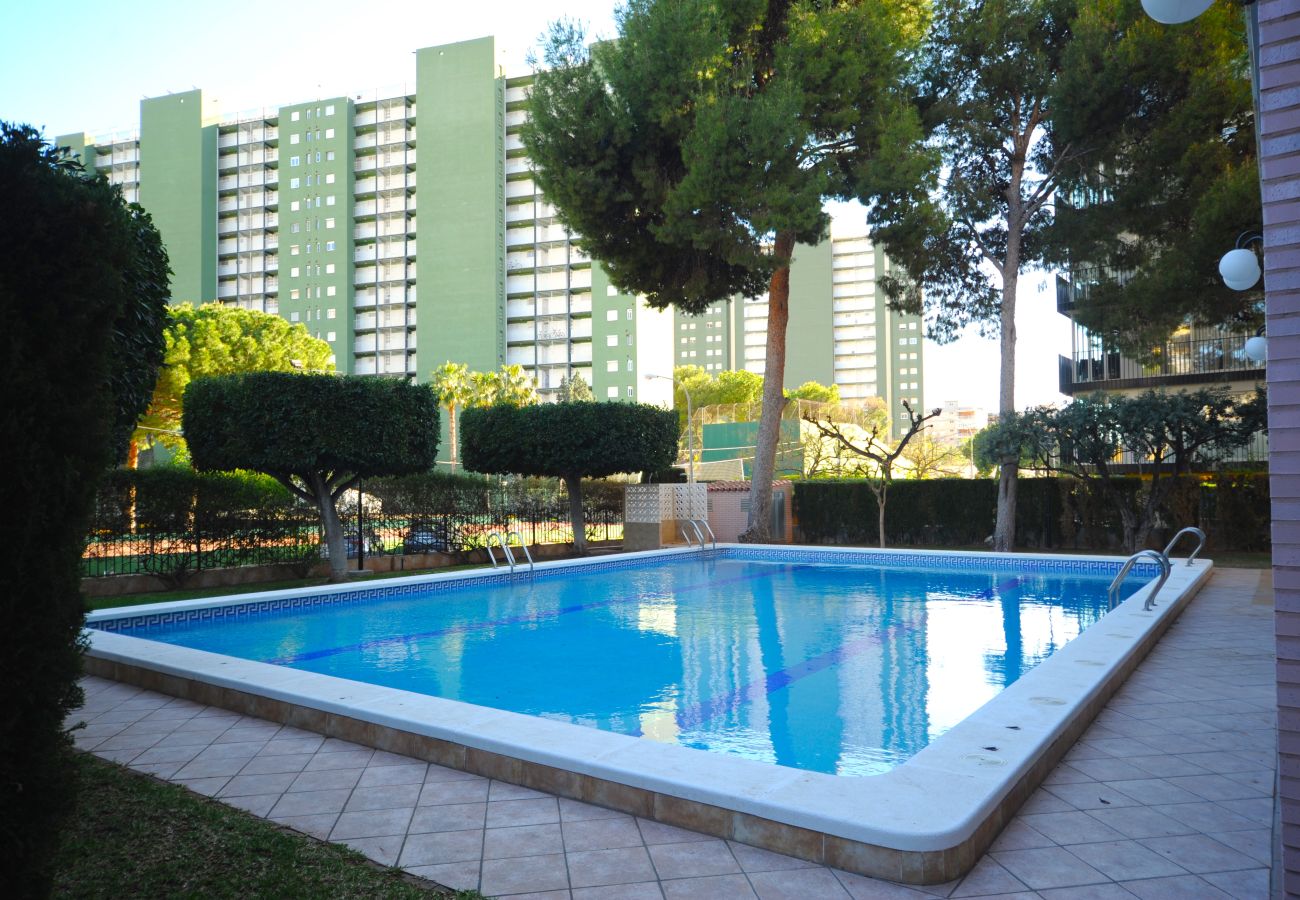 Apartamento en Benicàssim - LA PINADA 8-G