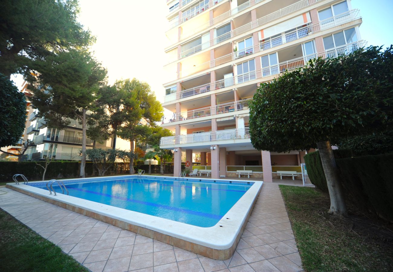 Apartamento en Benicàssim - LA PINADA 8-G