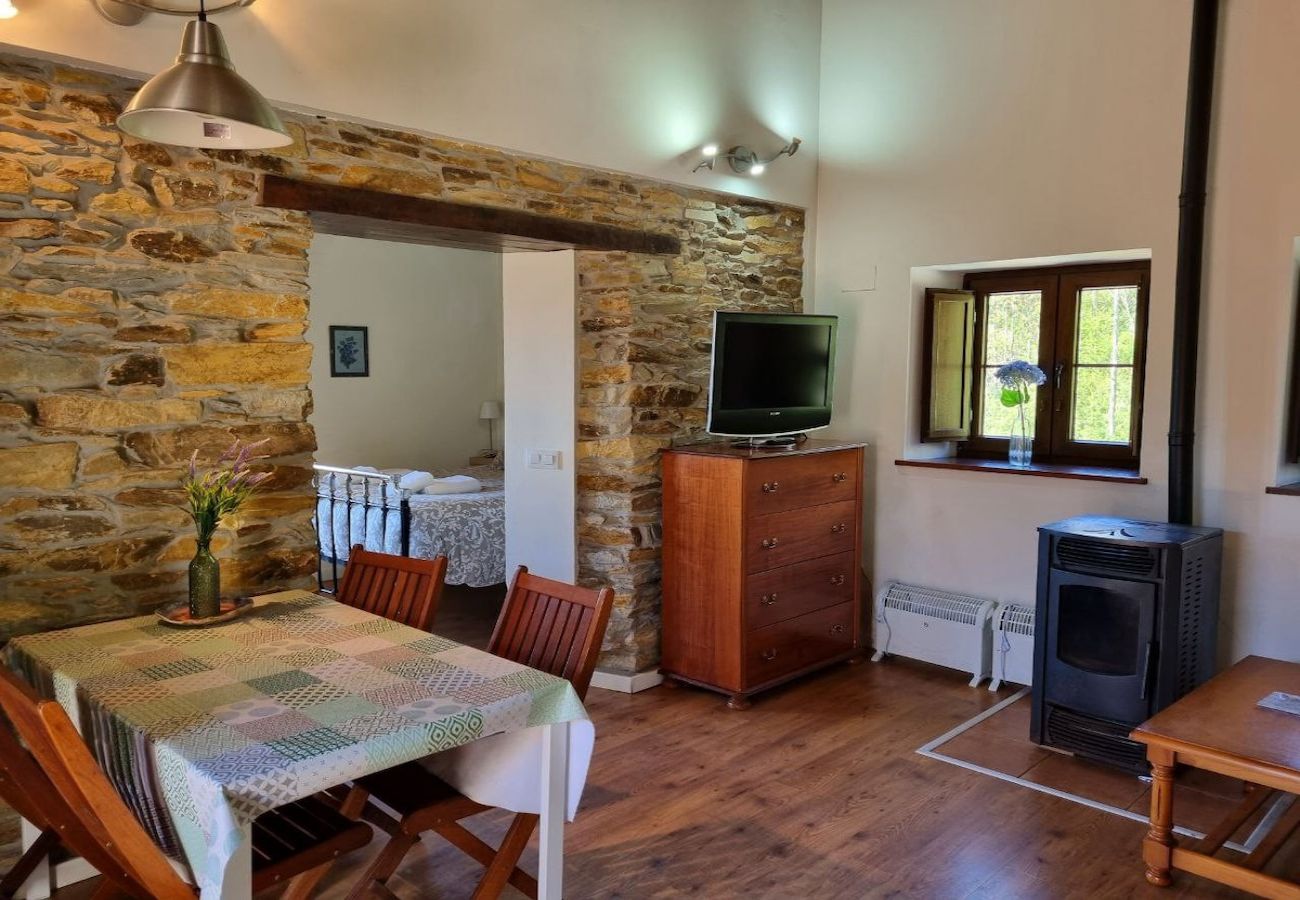 Apartamento en Pravia - 10B01 - Apartamento Villamuñin zona rural
