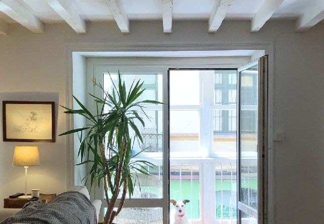 Apartamento en Santander - C01A02 - La Casa del Pintor