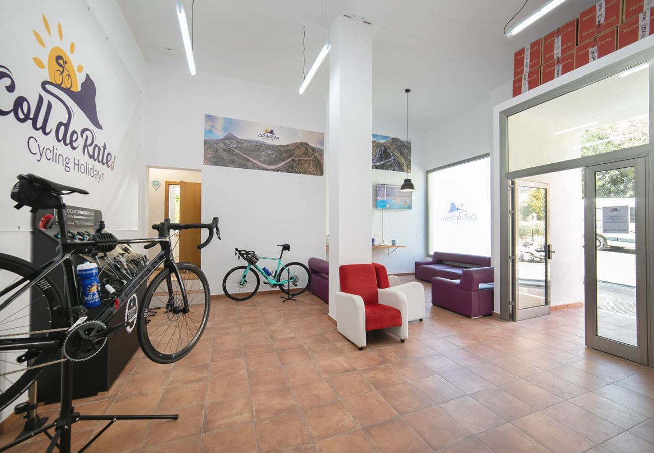 Alquiler de bicicletas en Calpe