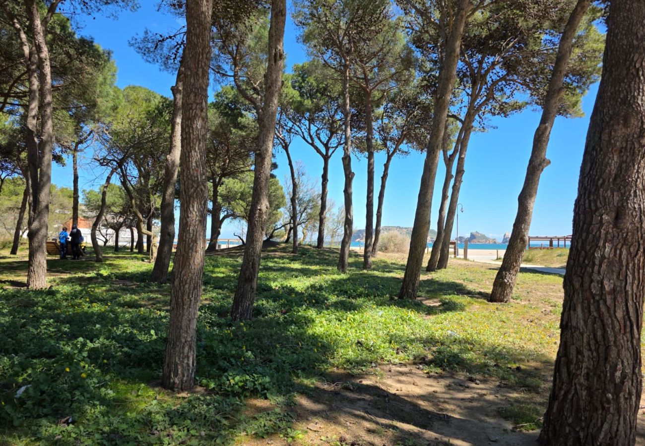 Apartamento en Estartit - SALLES BEACH 33