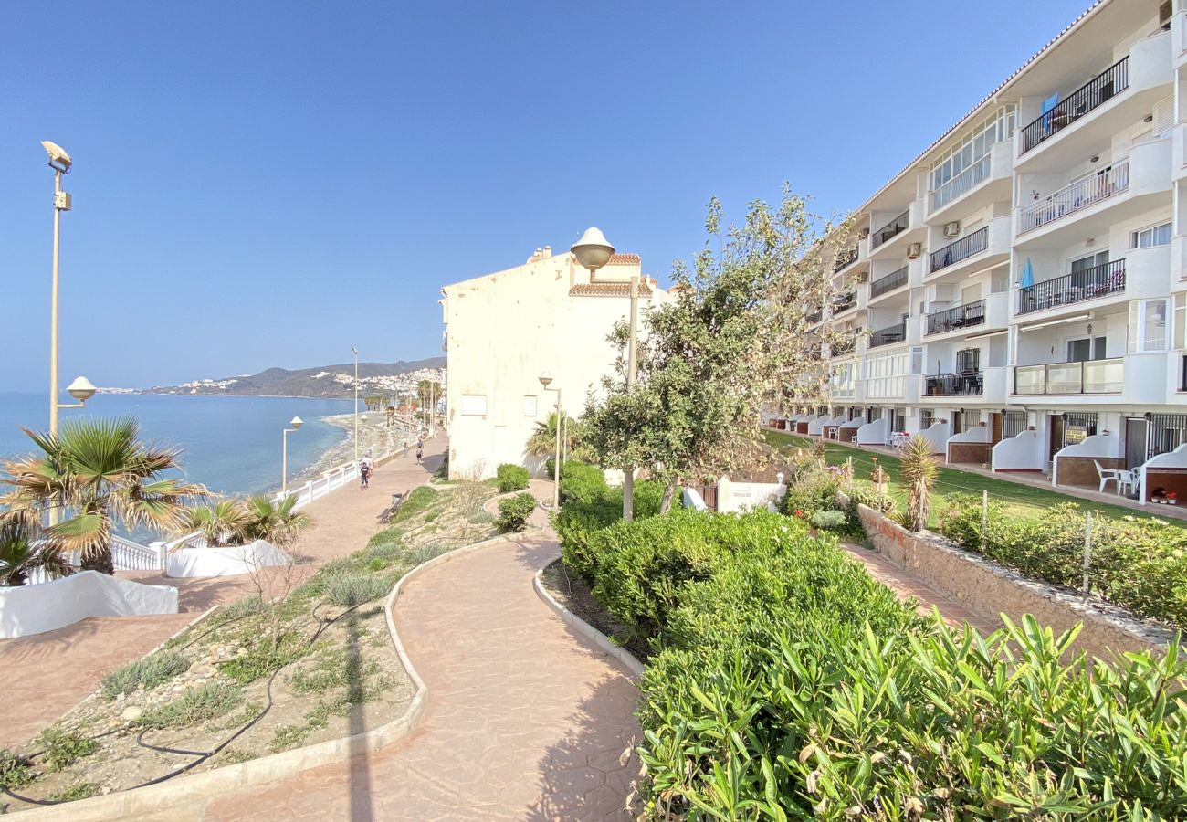 Apartamento en Nerja - Arce 11 Torrecilla Beach Casasol