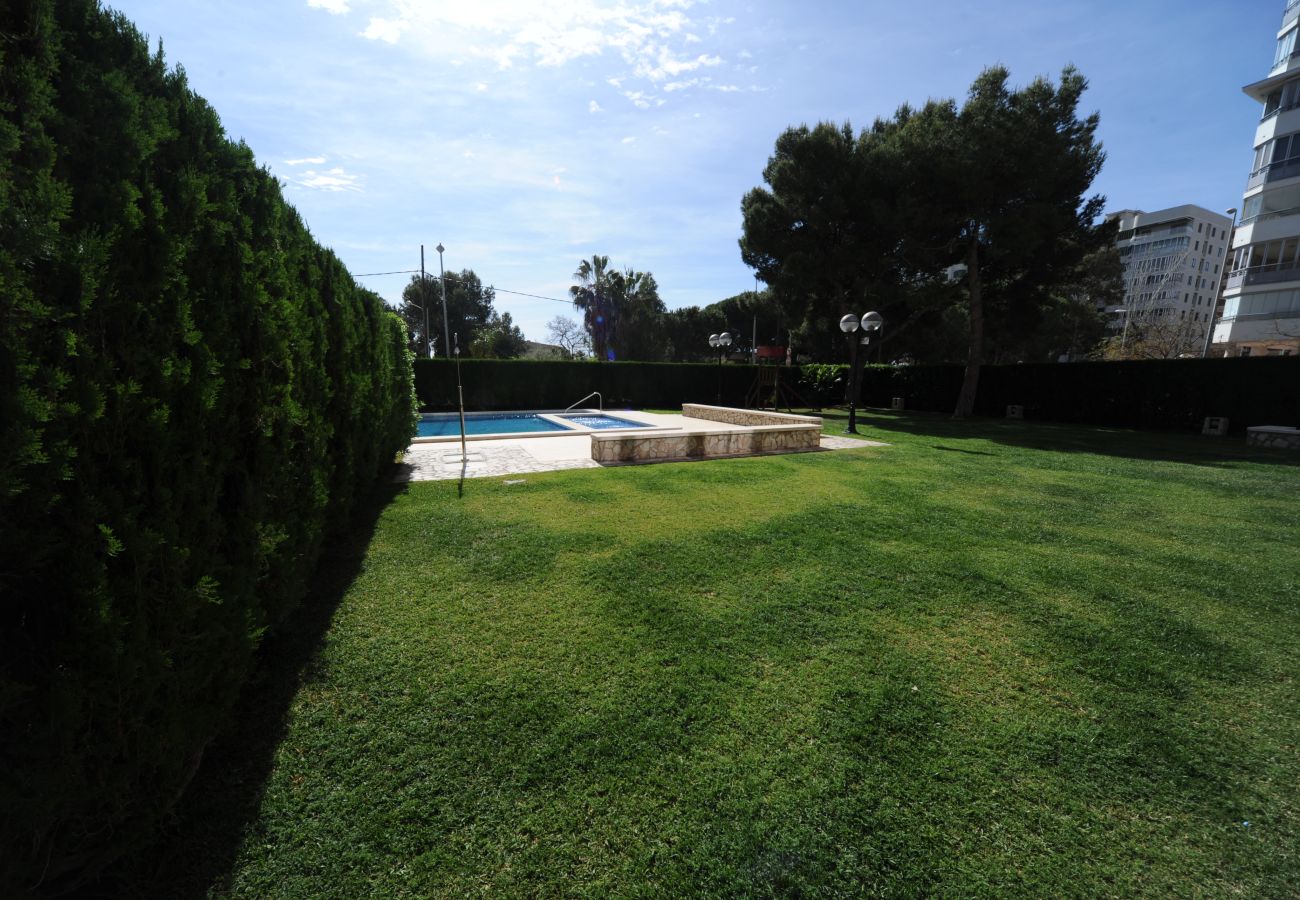 Apartamento en Benicàssim - ALCAZABA 6-32