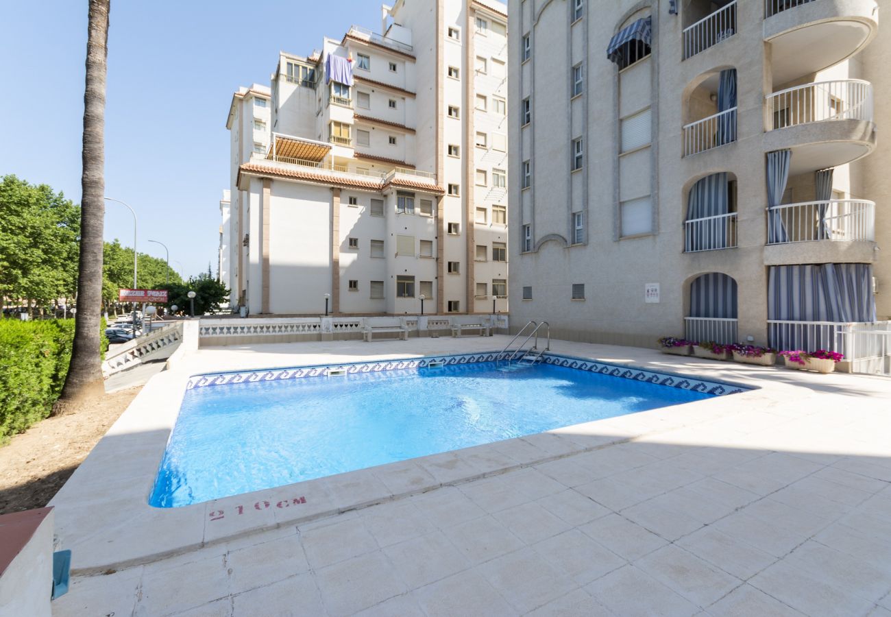 Apartamento en Playa de Gandía - 60. AG VORAMAR 6B