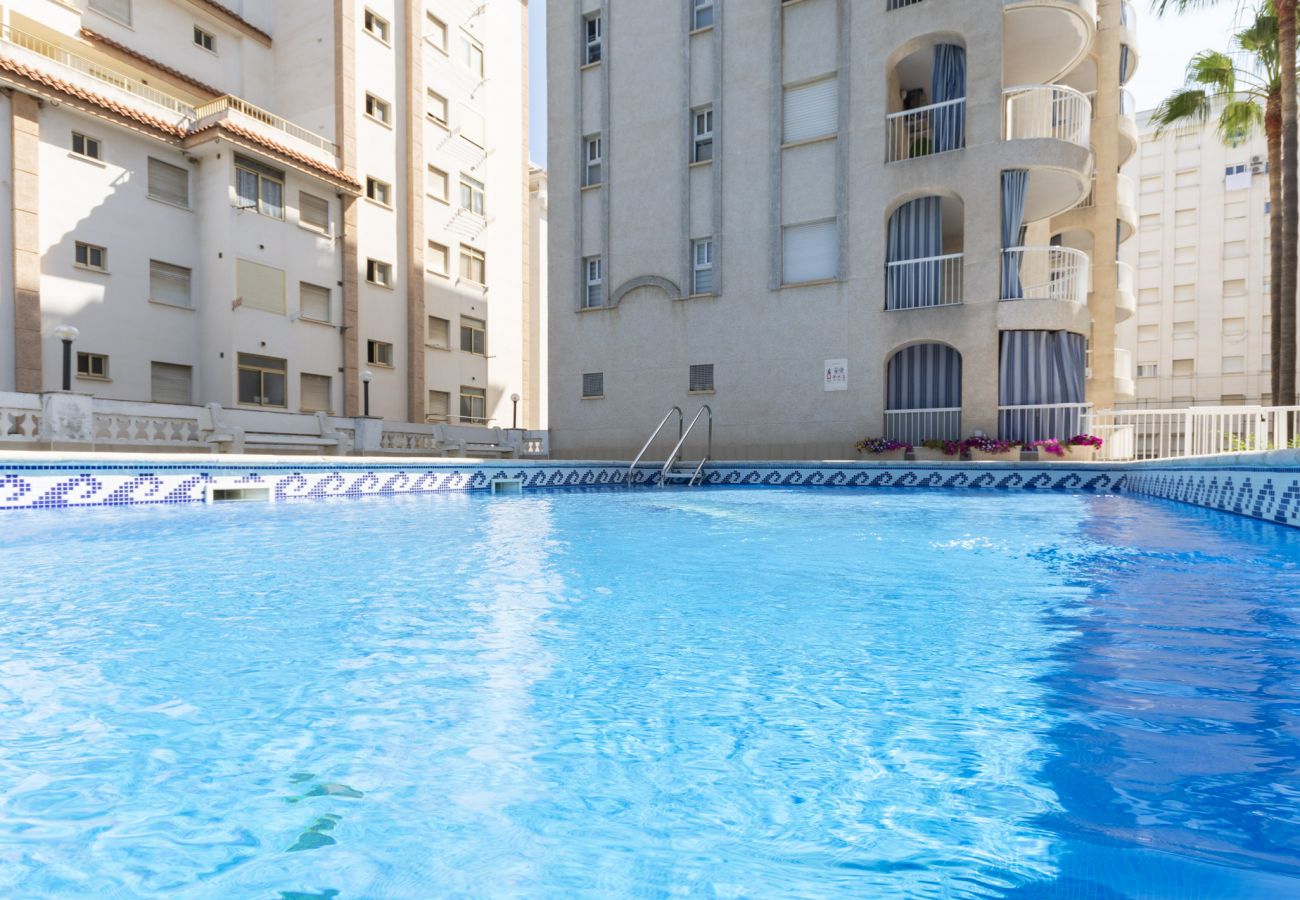 Apartamento en Playa de Gandía - 60. AG VORAMAR 6B