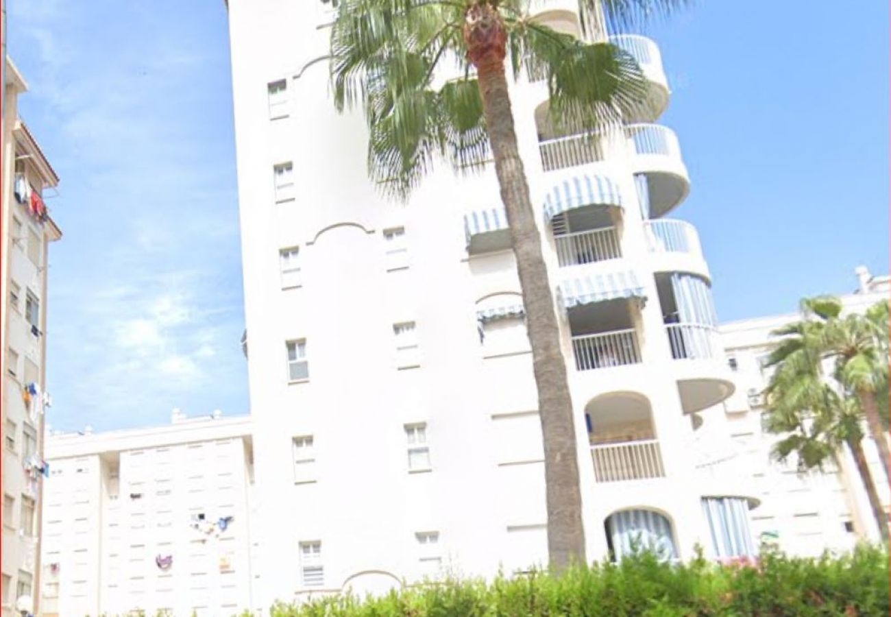 Apartamento en Playa de Gandía - 60. AG VORAMAR 6B