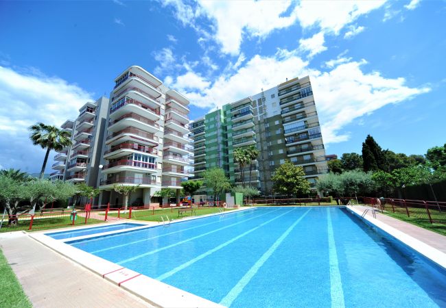 Apartamento en Benicàssim - LOS DELFINES BLOQUE A -4-B