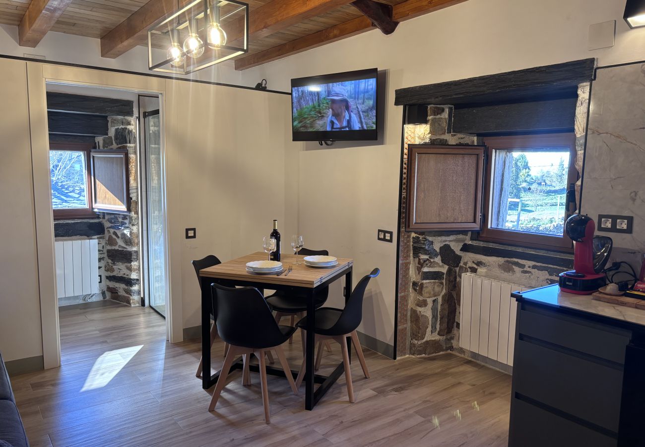 Apartamento en Allande - 27A01 Casa Uría - Camino de Santiago