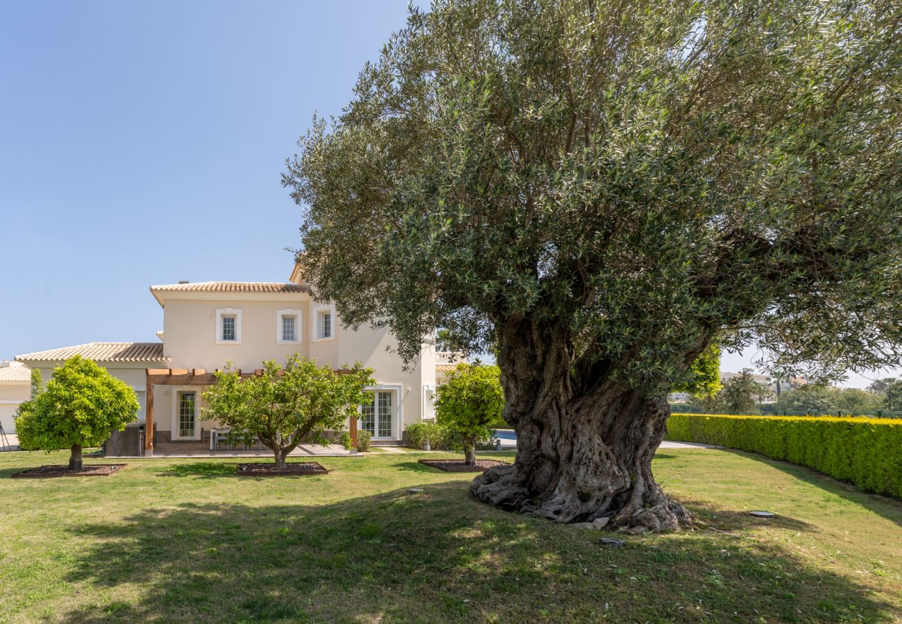 Villa en Oliva - Villa Degas210