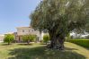 Villa en Oliva - Villa Degas210