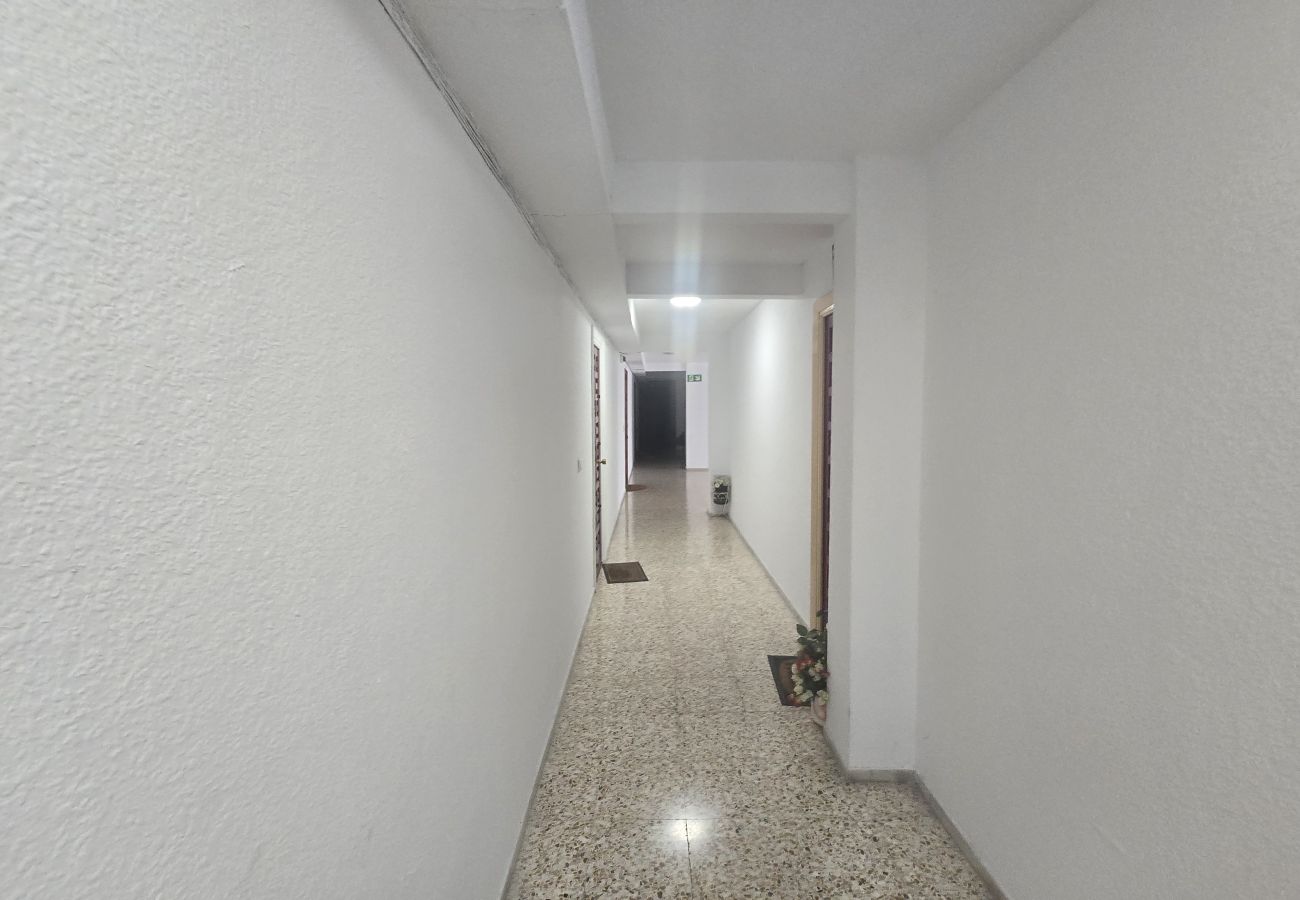 Estudio en Benidorm - SERVIHOTEL 306B