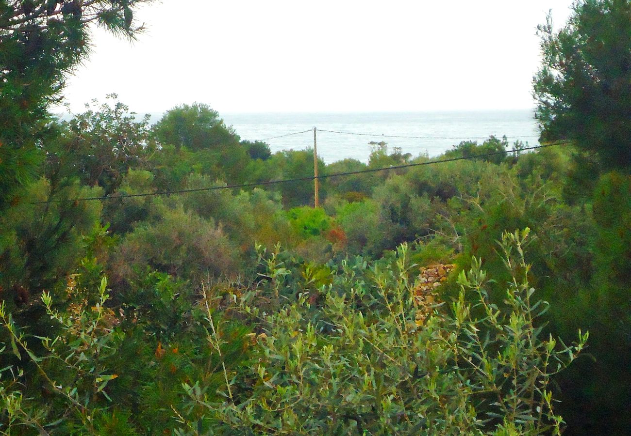 Apartamento en Peñiscola - Edison Duplex Fase I