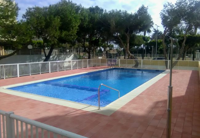 Apartamento en Cullera - MALVARROSA, 8º-54
