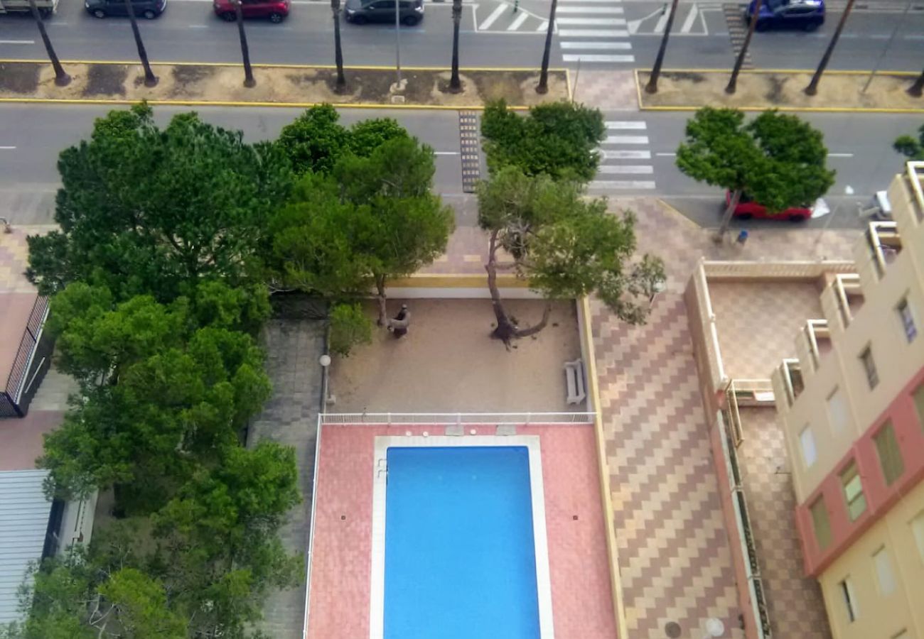 Apartamento en Cullera - MALVARROSA, 8º-54