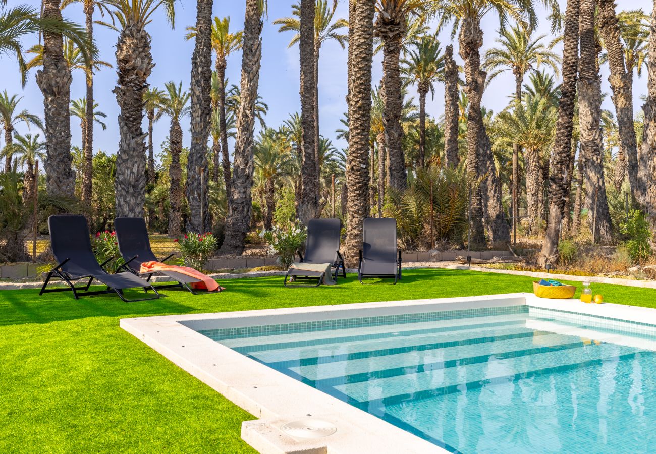 Villa en Elche - Historical Palms Villa by Fidalsa