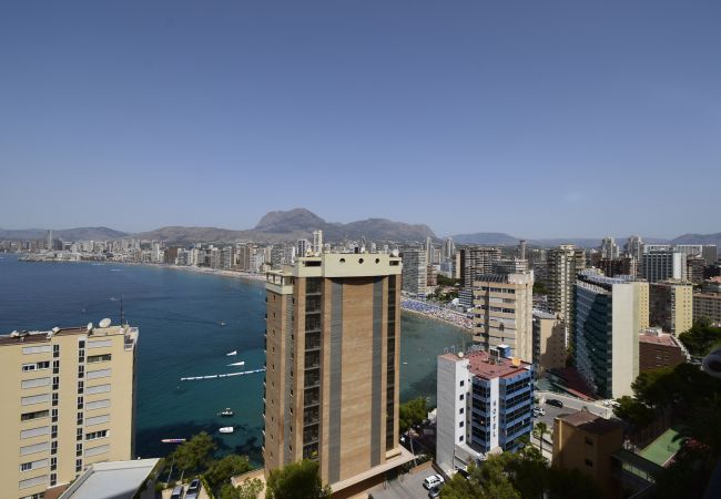 Apartamento en Benidorm - TRINISOL 2 8B