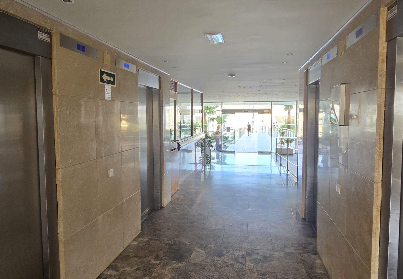 Apartamento en Benidorm - TRINISOL 2 8B