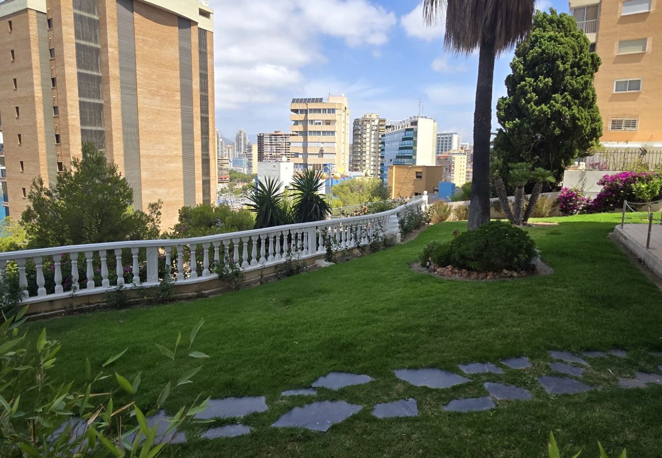 Apartamento en Benidorm - TRINISOL 2 8B
