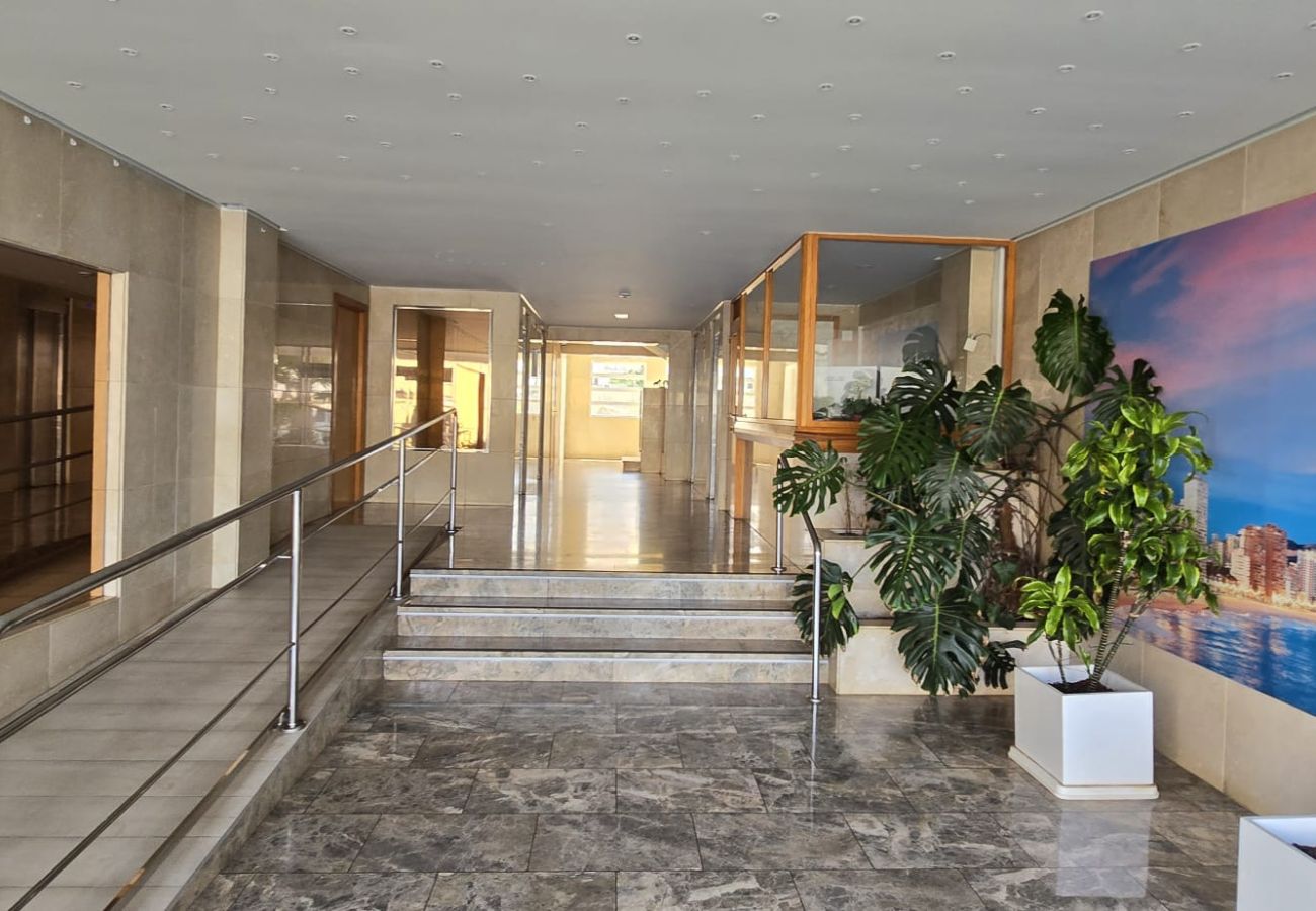 Apartamento en Benidorm - TRINISOL 2 8B