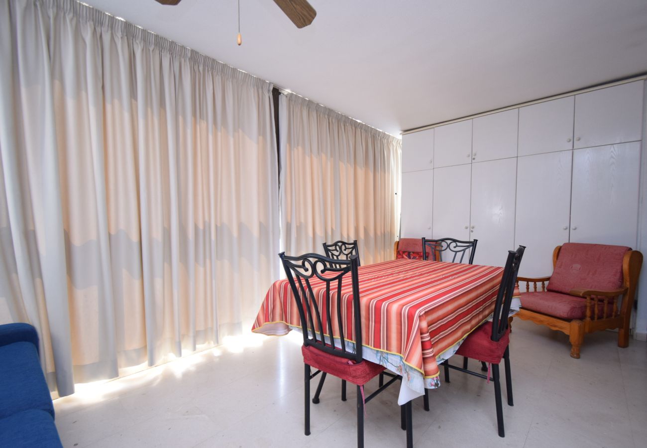 Apartamento en Benidorm - LOS GEMELOS 15E