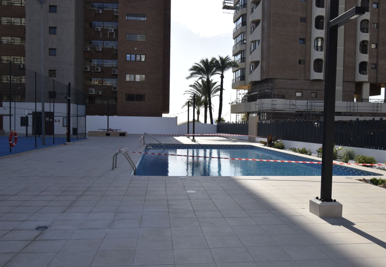 Apartamento en Benidorm - LOS GEMELOS  20A