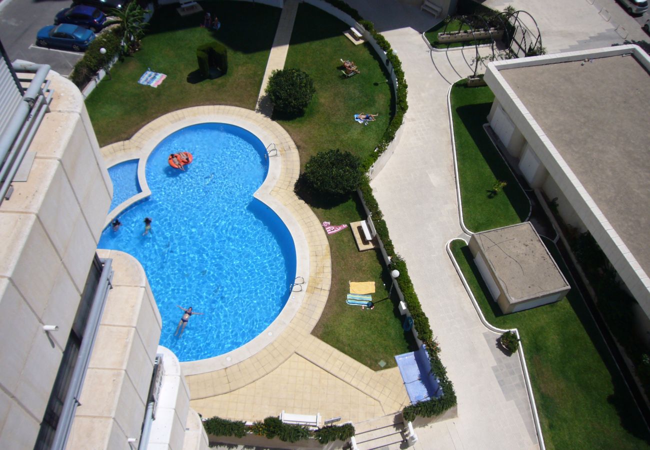 Apartamento en Benidorm - SAN FRANCISCO 14B1