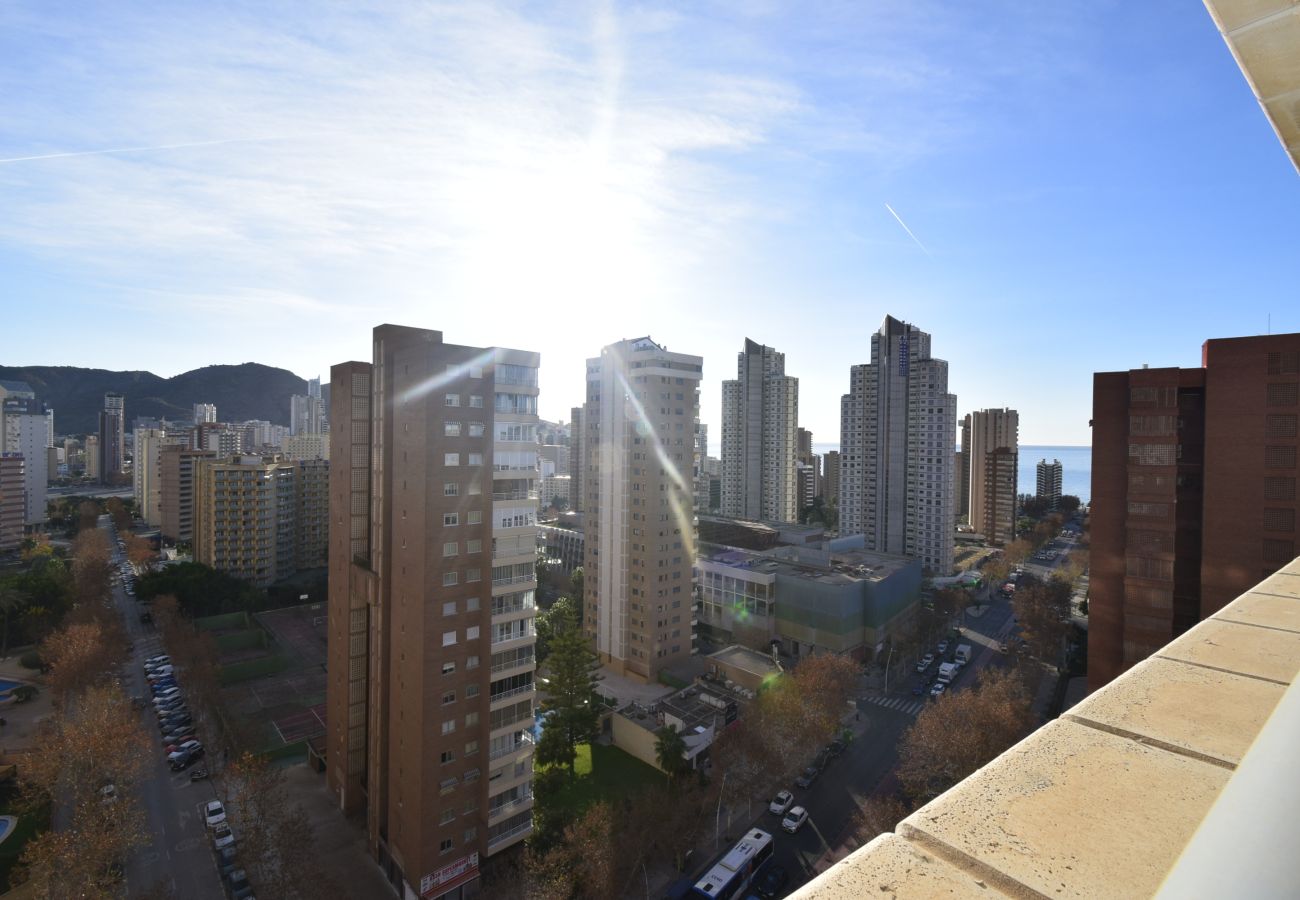 Apartamento en Benidorm - SAN FRANCISCO 14B1