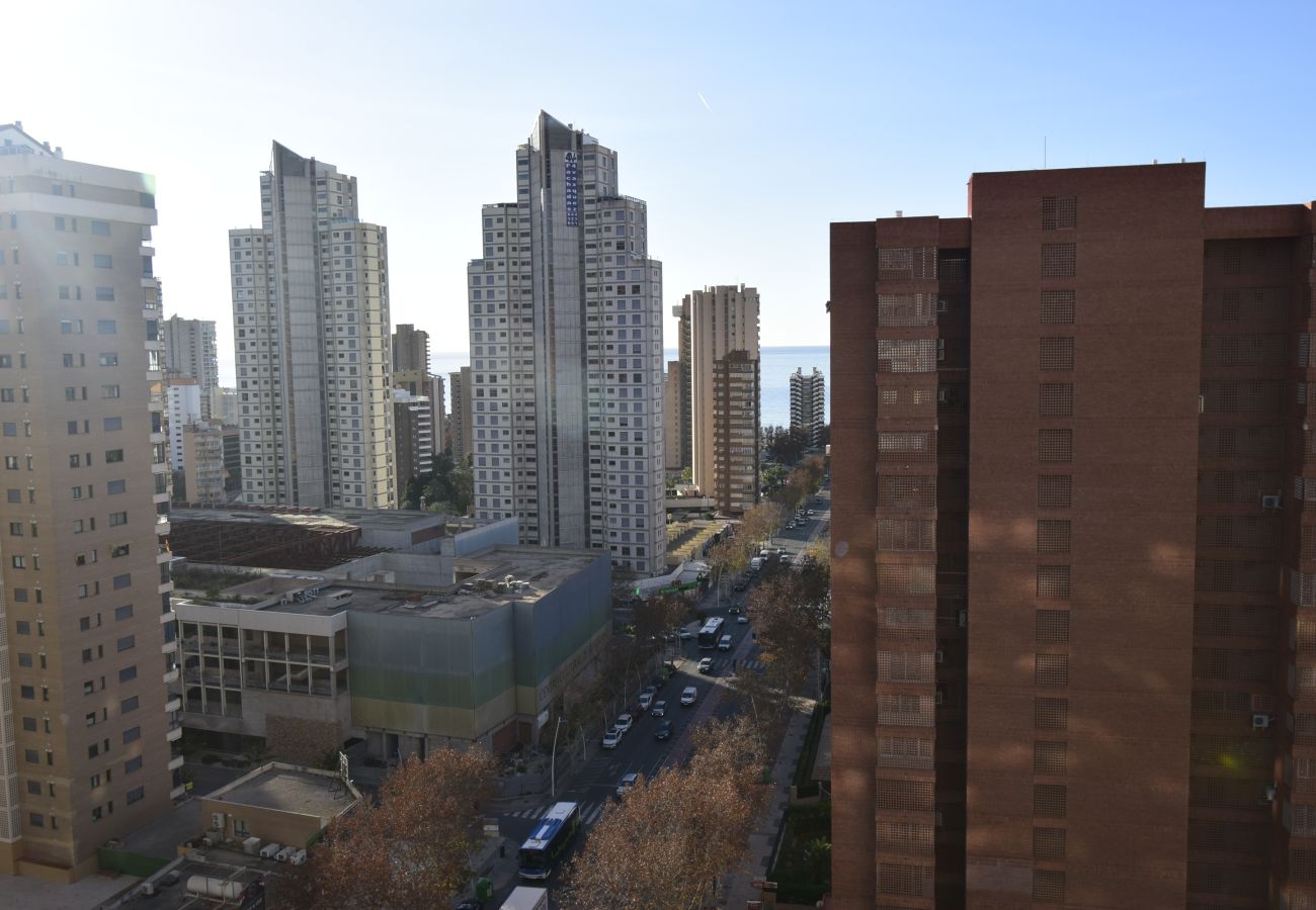 Apartamento en Benidorm - SAN FRANCISCO 14B1