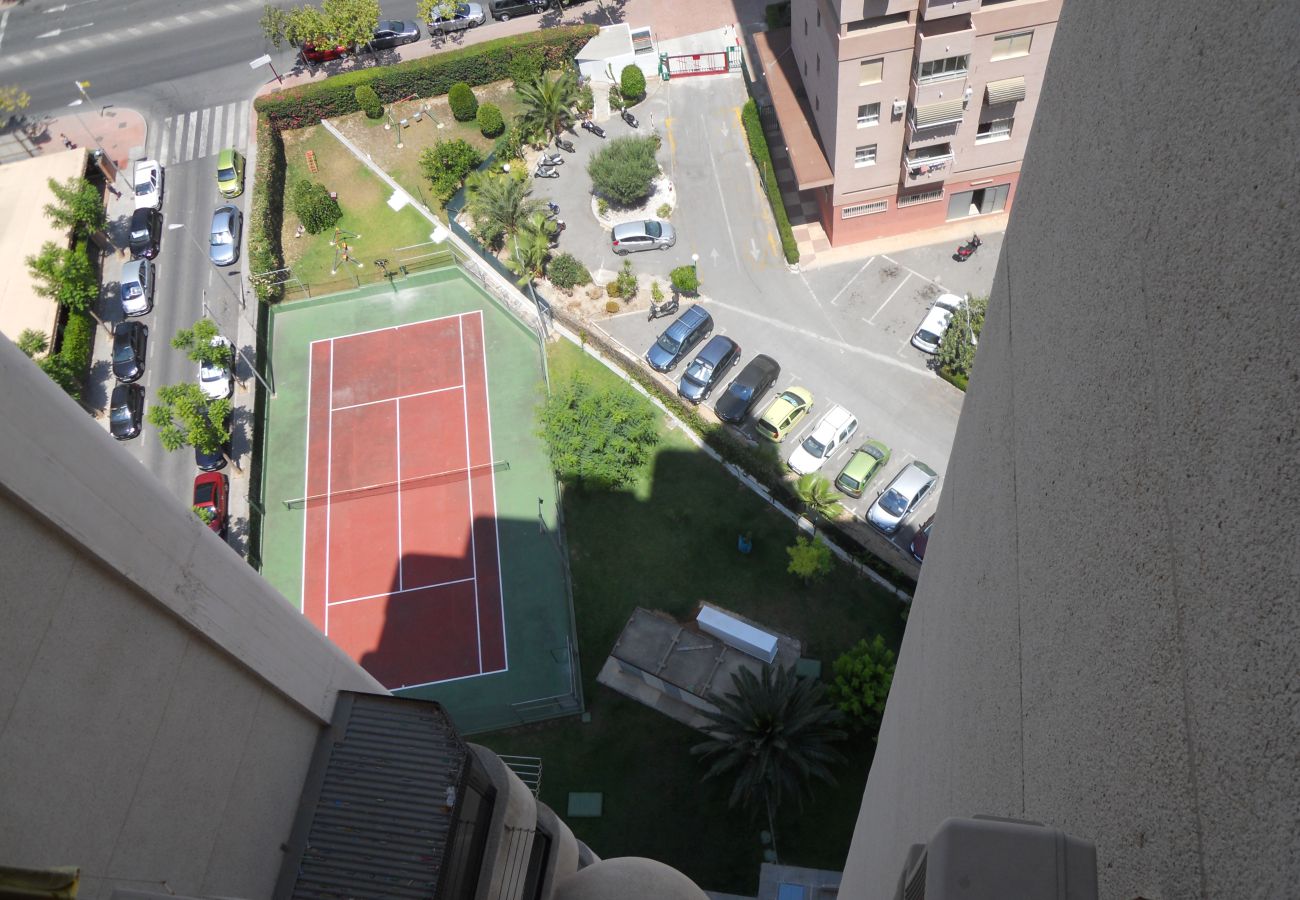 Apartamento en Benidorm - SAN FRANCISCO 14B1