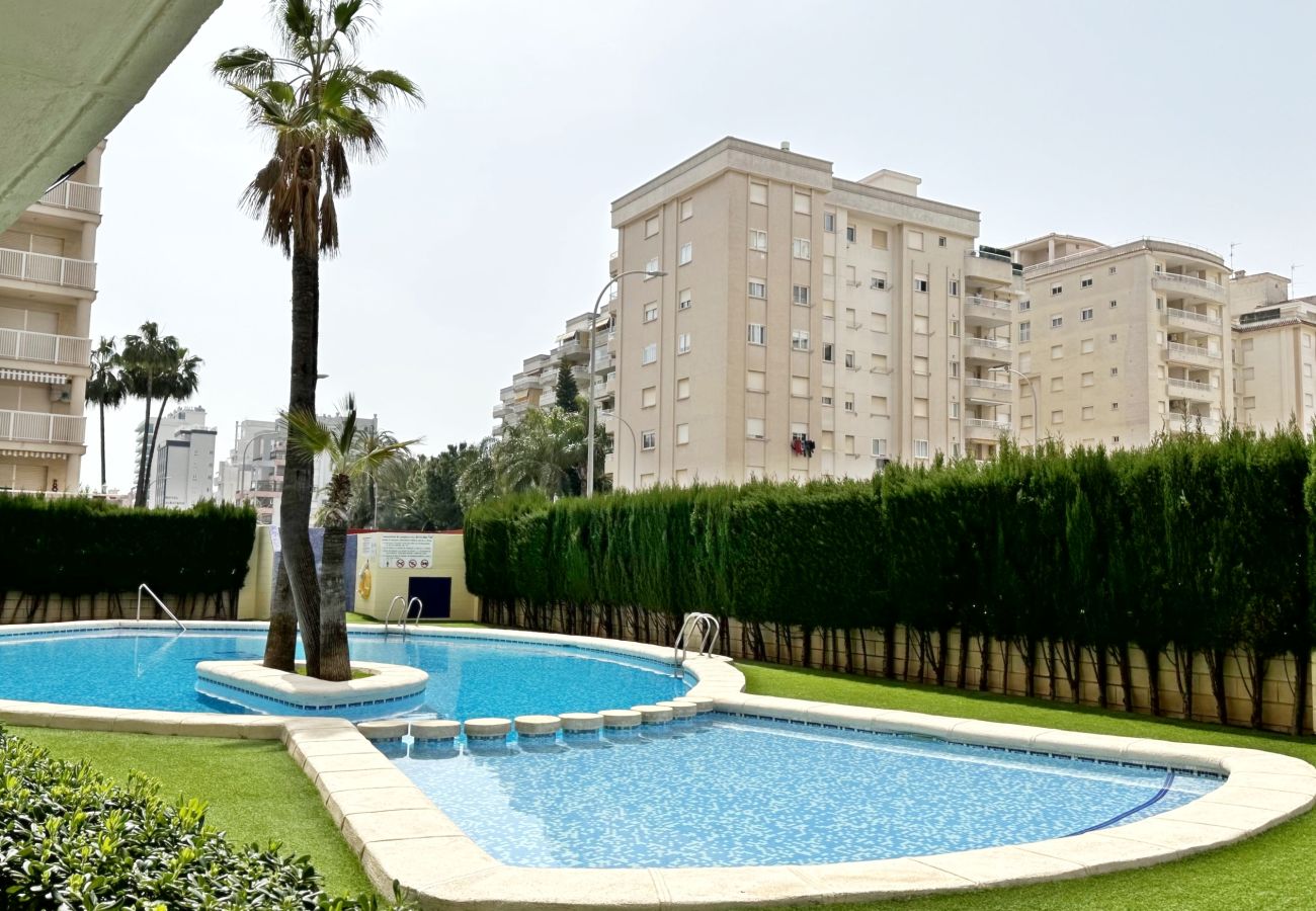 Apartamento en Gandia - BITACORA 8 - 2ª - 7º - D