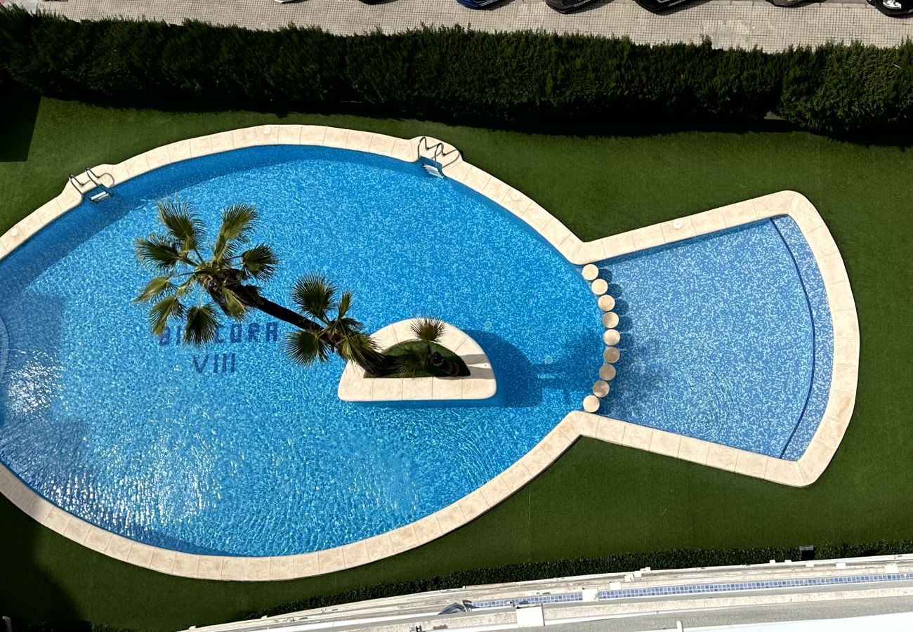 Apartamento en Gandia - BITACORA 8 - 3ª - 8º - E