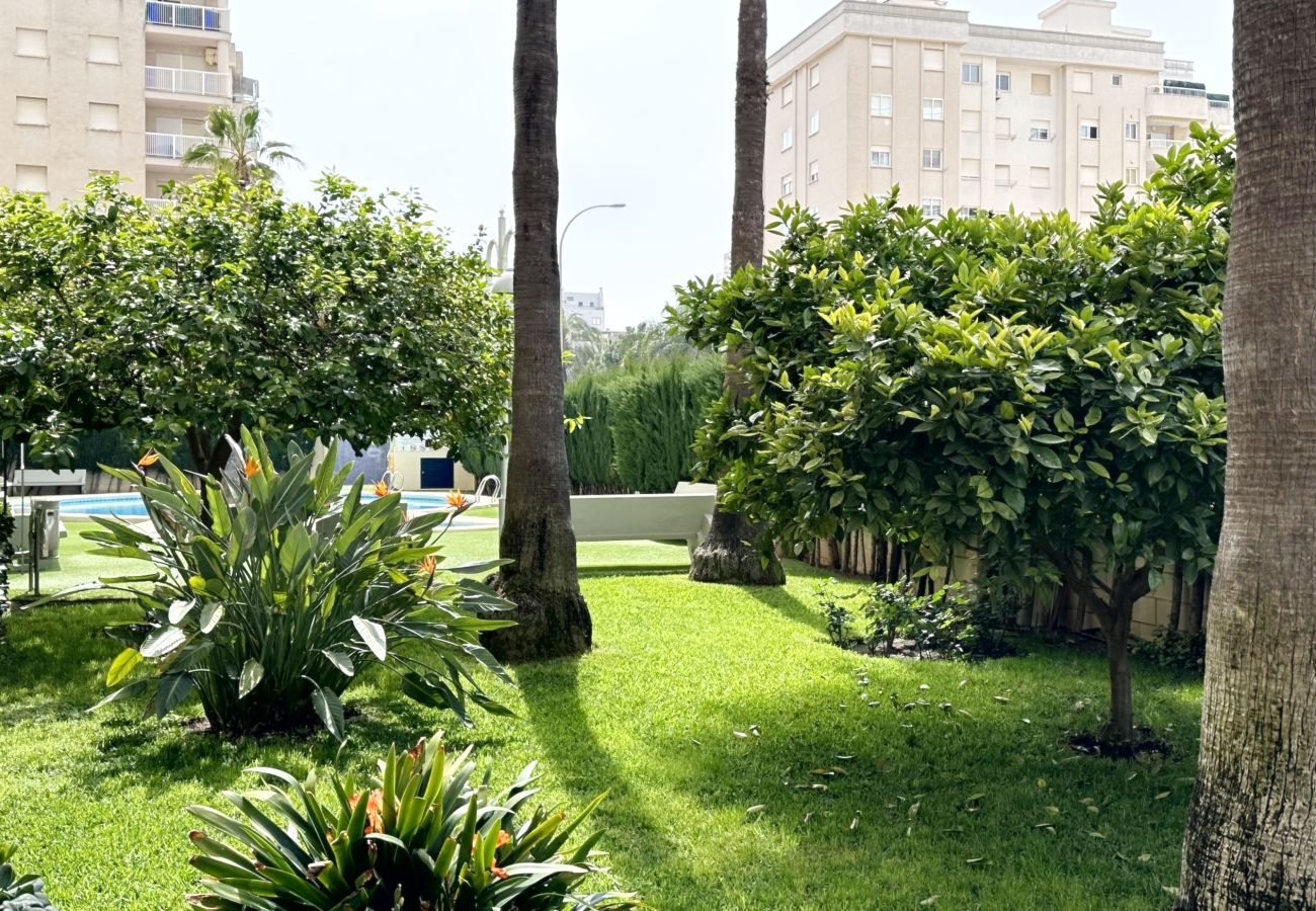 Apartamento en Gandia - BITACORA 8 - 3ª - 8º - E