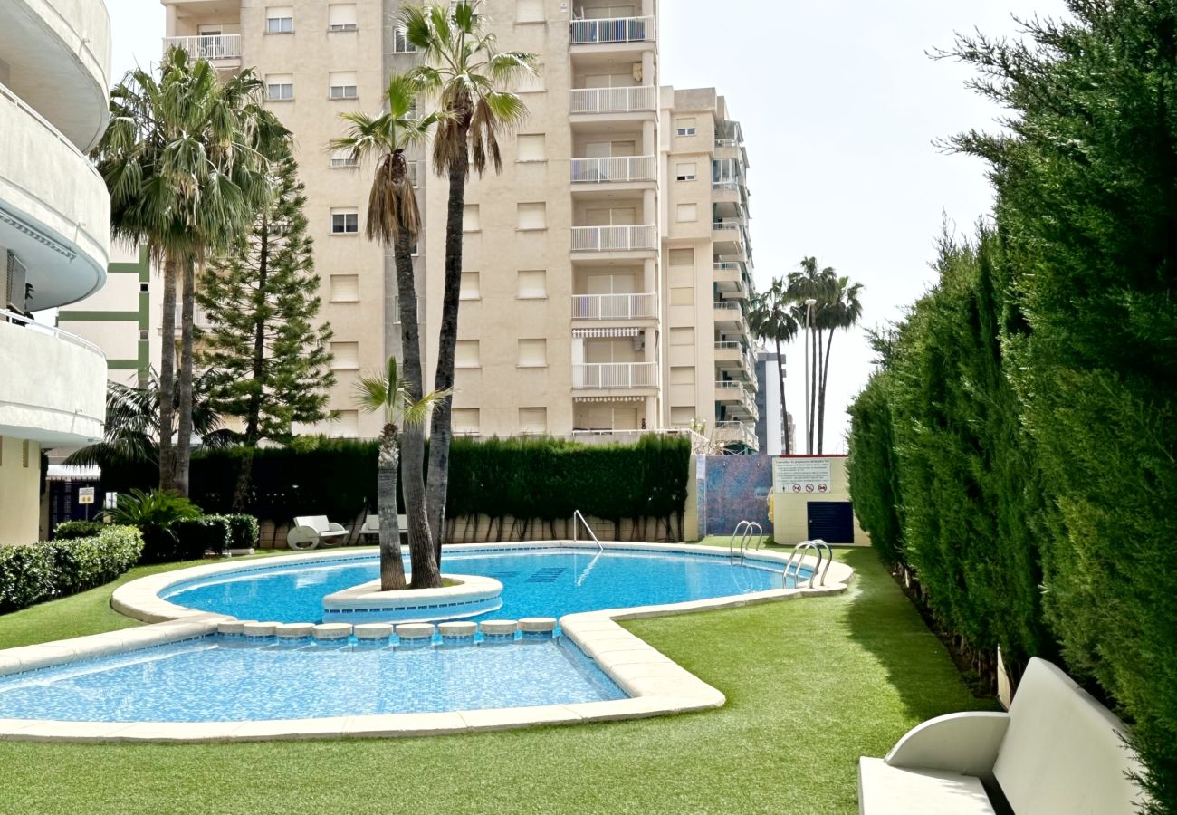 Apartamento en Gandia - BITACORA 8 - 3ª - 8º - E